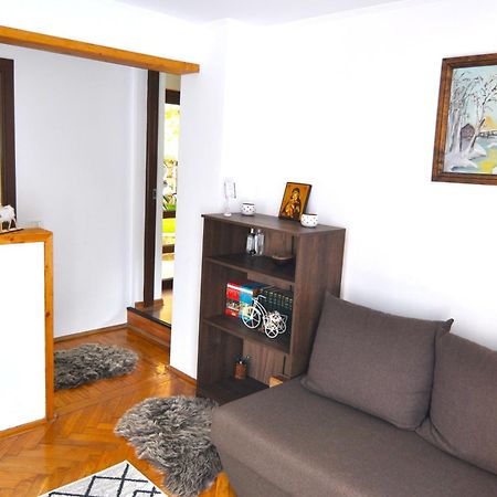 Villa Casa Tex Buşteni Exterior foto