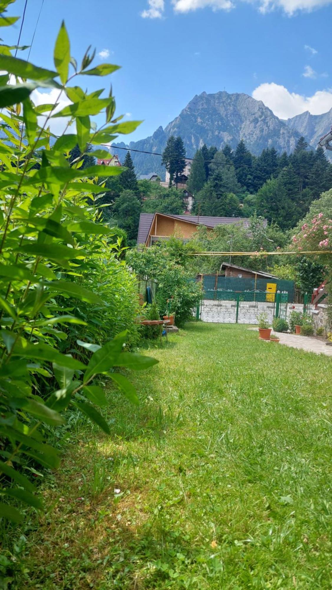 Villa Casa Tex Buşteni Exterior foto