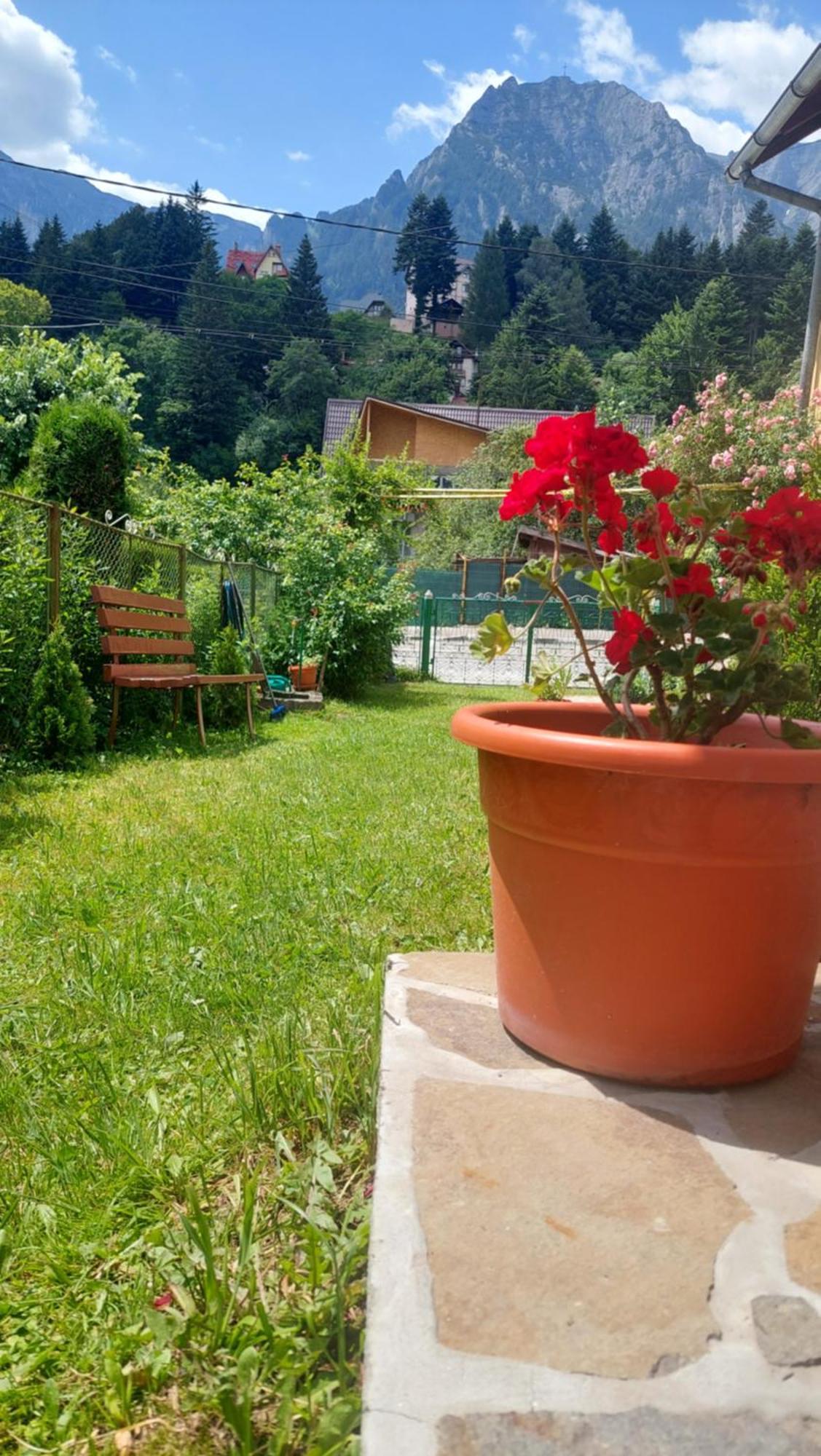 Villa Casa Tex Buşteni Exterior foto